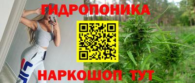 прущие крисы Мариинск