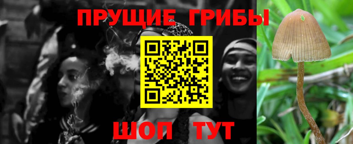 Псилоцибиновые грибы мухоморы Горячий Ключ